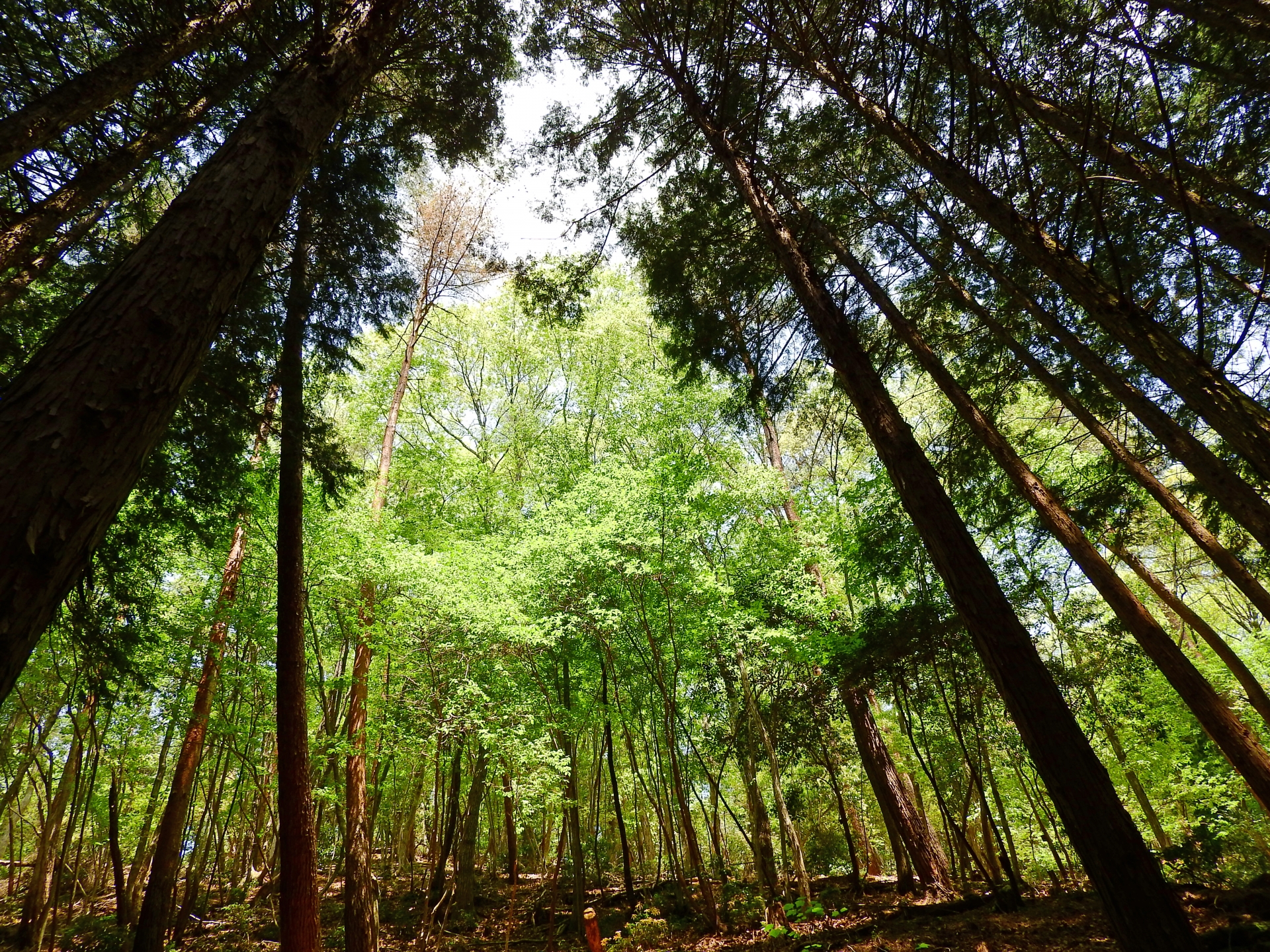 お問い合わせフォーム